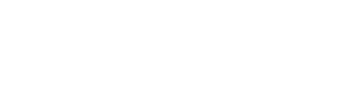 Sayulita Pickleball Club logo in white vector format on transparent background